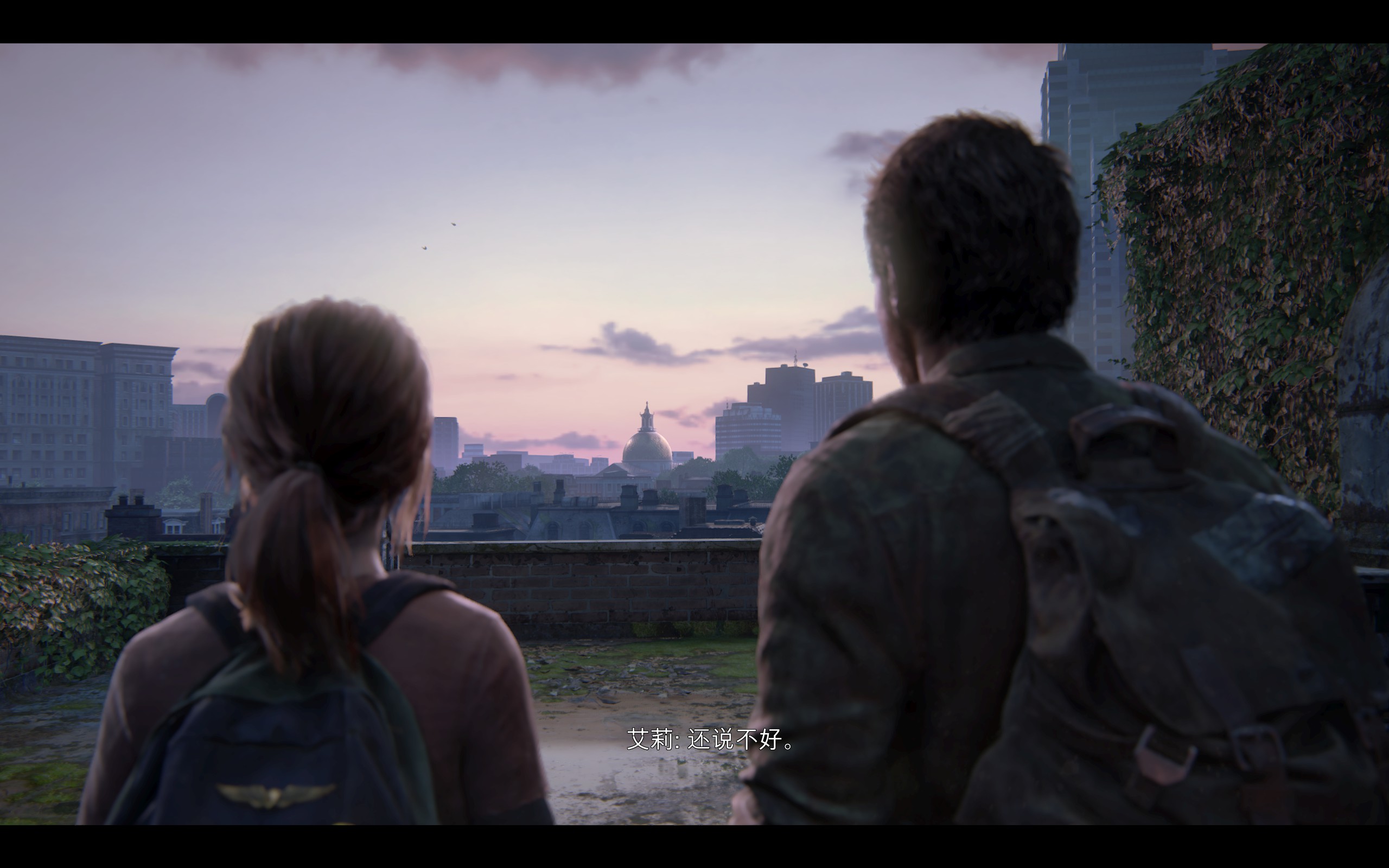 THE LAST OF US （1）1/15